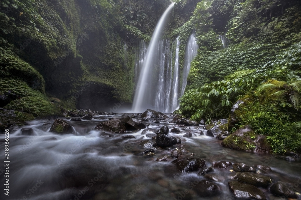 Fototapeta premium Waterfall/stream in a deep rain forest.
