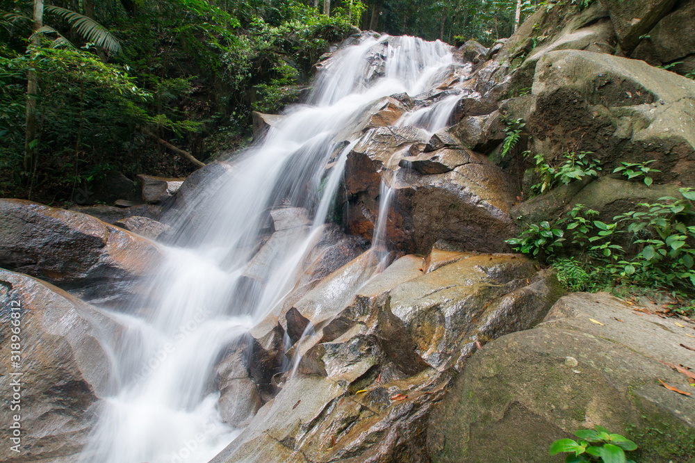 Fototapeta premium Waterfall/stream in a deep rain forest.