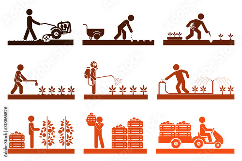 Food production. Pictogram icon set presenting different stages in agricultural process and gardening. 