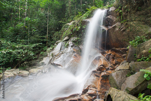 Waterfall stream in a deep rain forest.