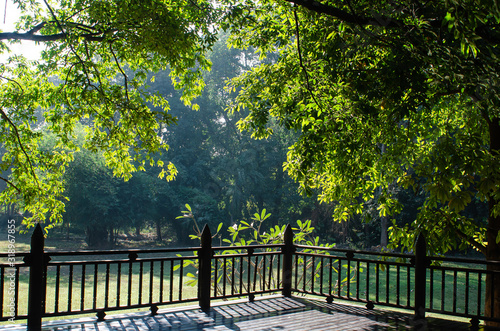 bridge in the park