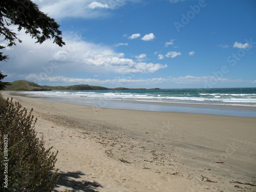 Sand, sea, and blue skies in New Zealand