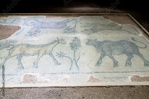 Historical artifacts in Urfa Museum