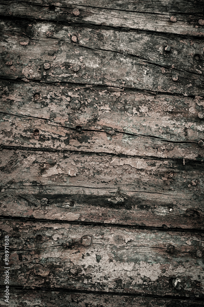 Fototapeta premium texture of wood