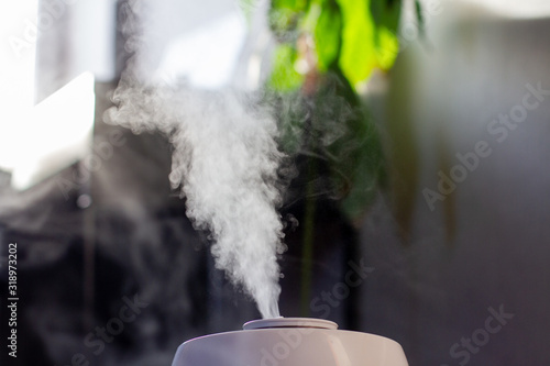 humidifier in a home interior with sunlight photo