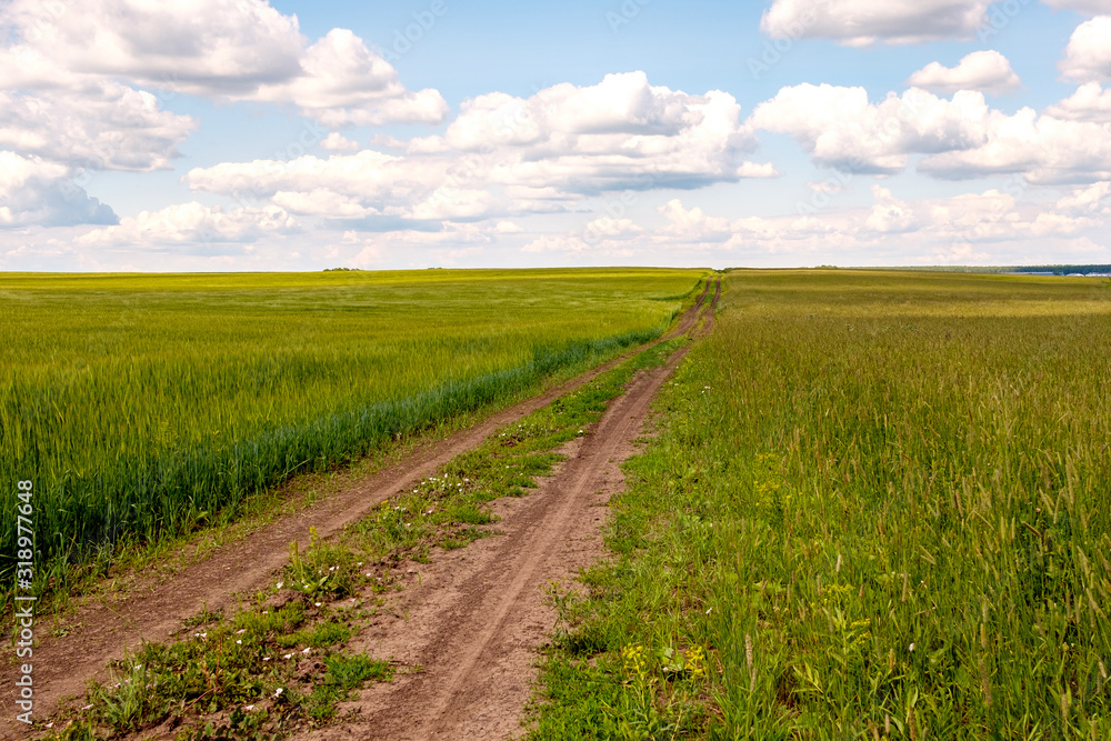 a field road leading to the horizon on a cloudy sky a field road leading to the horizon on a cloudy sky