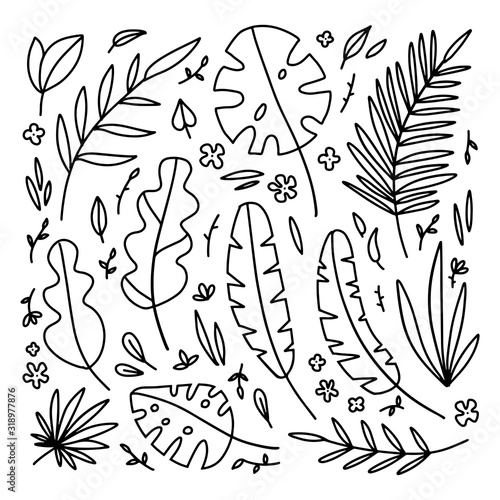 Big Floral Set of black hand drawn palm leaves, branches isolated on white. Collection of flourish elements for design. Vector doodle illustration.