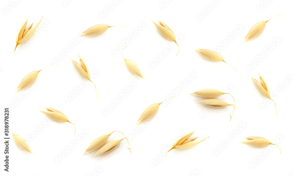 Oat seeds are isolated on white with a shadow. Oat seeds isolated on a white background. Set of oat grains isolated on white background. Top view of oat grains. Oat seeds are isolated on white with a shadow. Oat seeds isolated on a white background. Set of oat grains isolated on white background. Top view of oat grains.