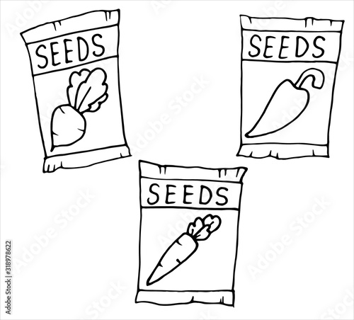 pack full of seeds of a vegetables, icon isolated on white background. Vector Illustration hand drawn for book.