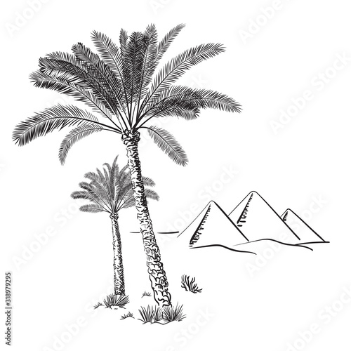 Palm trees and Egypt pyramids in the desert on a background. Hand drawn vector illustration. Sketch