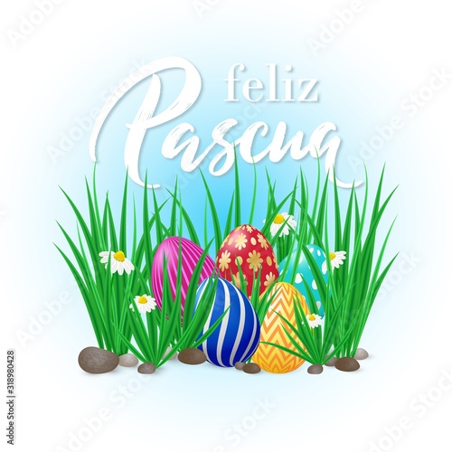 Spanish translation Happy Easter- Feliz Pascua. Vector card Happy Easter with green grass, spring flowers and decorated eggs. Poster with realistic grass meadow, blooming Bellis and eggs. Card design