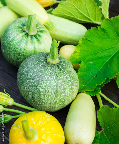 Autumn Season Harvest Background. Round Zucchini and Squash with Leaves and Flowers on Dark Brown Wood Table. Copy space