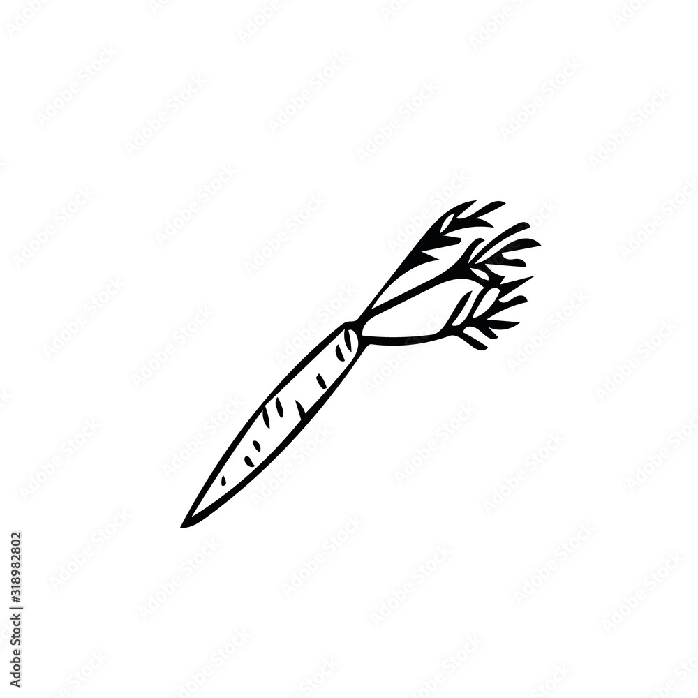 carrot hand drawn in doodle style. simple scandinavian liner. Element for design carrot hand drawn in doodle style. simple scandinavian liner. Element for design