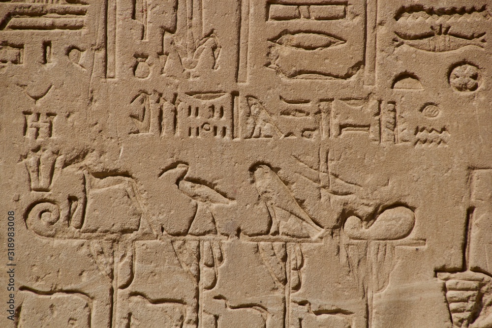 hieroglyphs in an egyptian temple