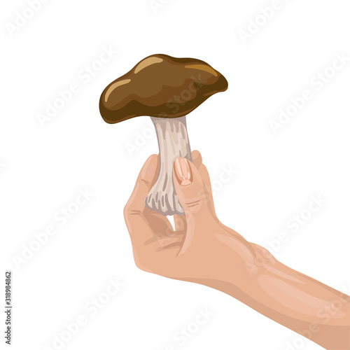 Find an edible mushroom, hold a brown mushroom in your hand.