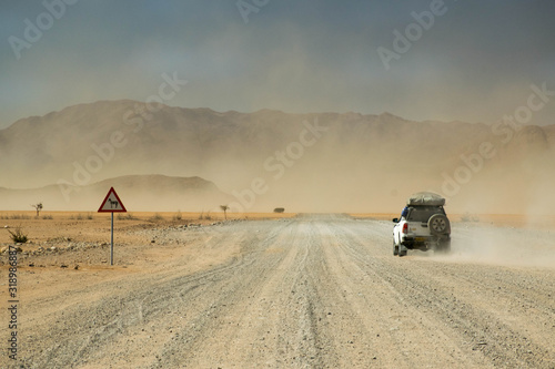 Safari car moving fast in the sand storm, looking for wild animals in Africa, Botswana, Namibia