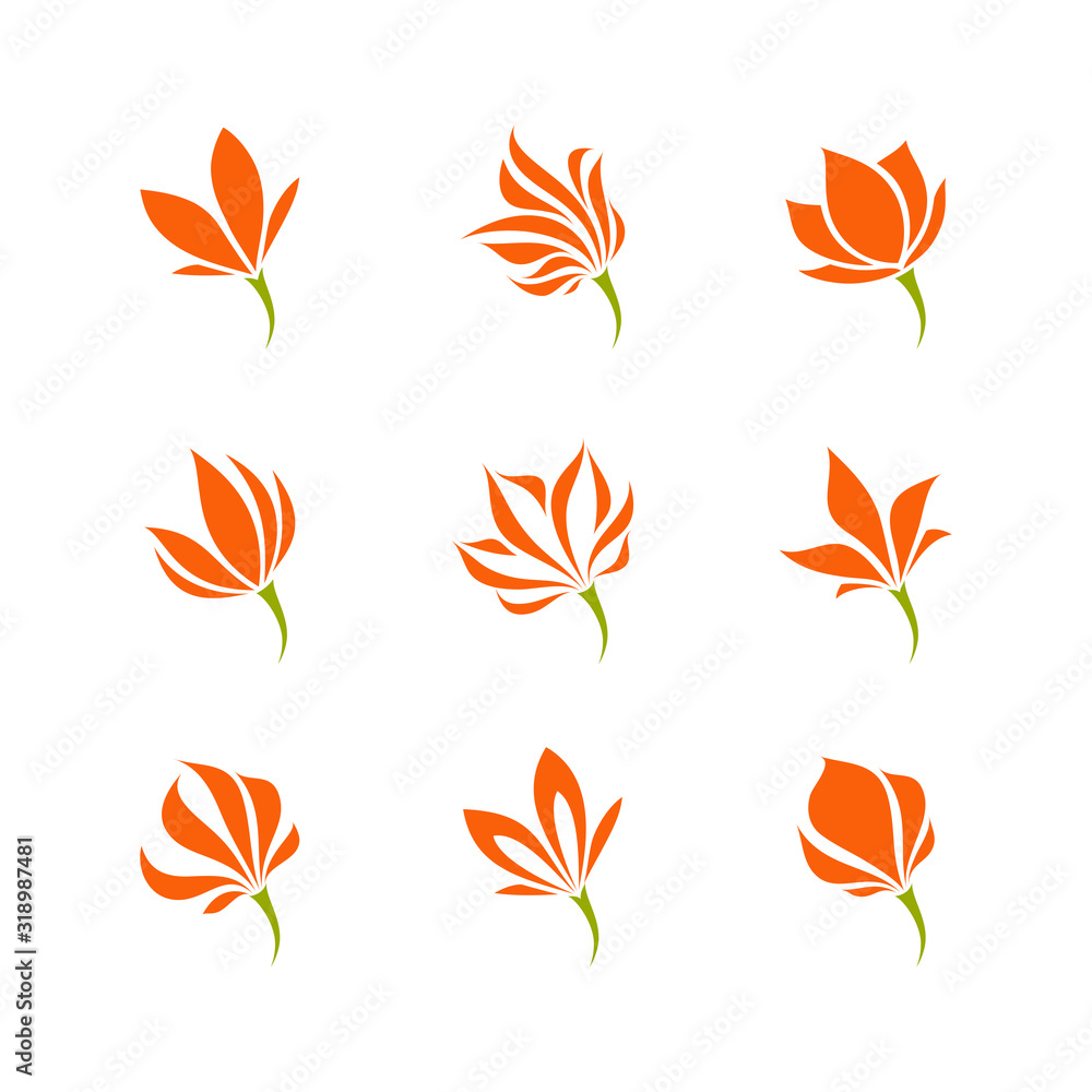 Tropical flower. Elegant vector logo template or icon. Set of filigree design elements