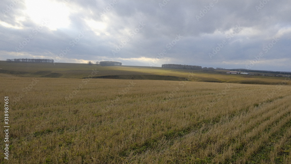 Obraz premium field and blue sky