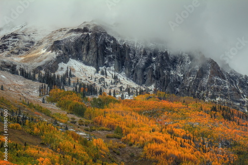 THE MIGHTY AND THE FRAGILE