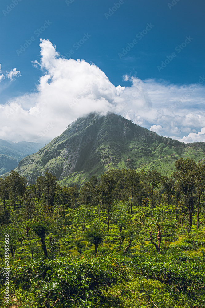 Fototapeta premium mountain landscape with blue sky and clouds