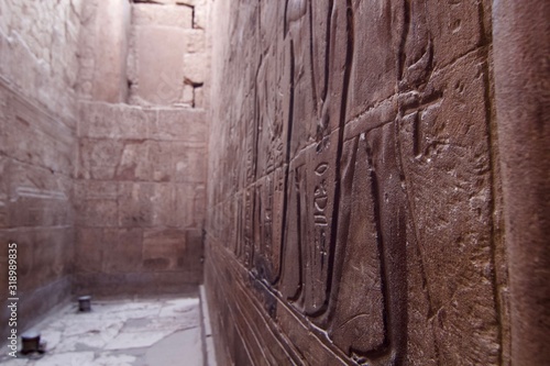 hieroglyphics on egyptian temple wall