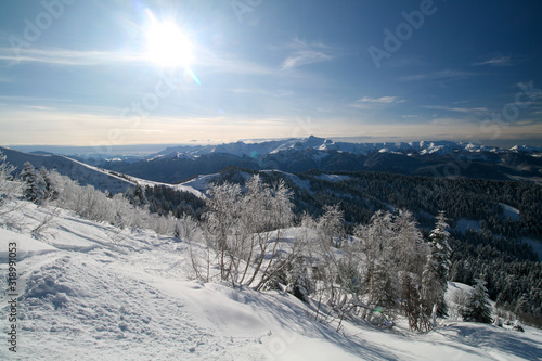 Snow-covered ski slopes among coniferous forests, rosa Khutor ski resort, Sochi, Russia.