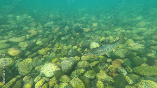 Argentina natural landscapes
