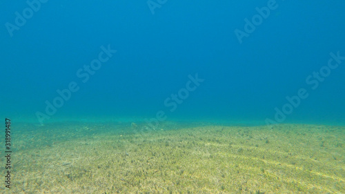 Argentina natural landscapes