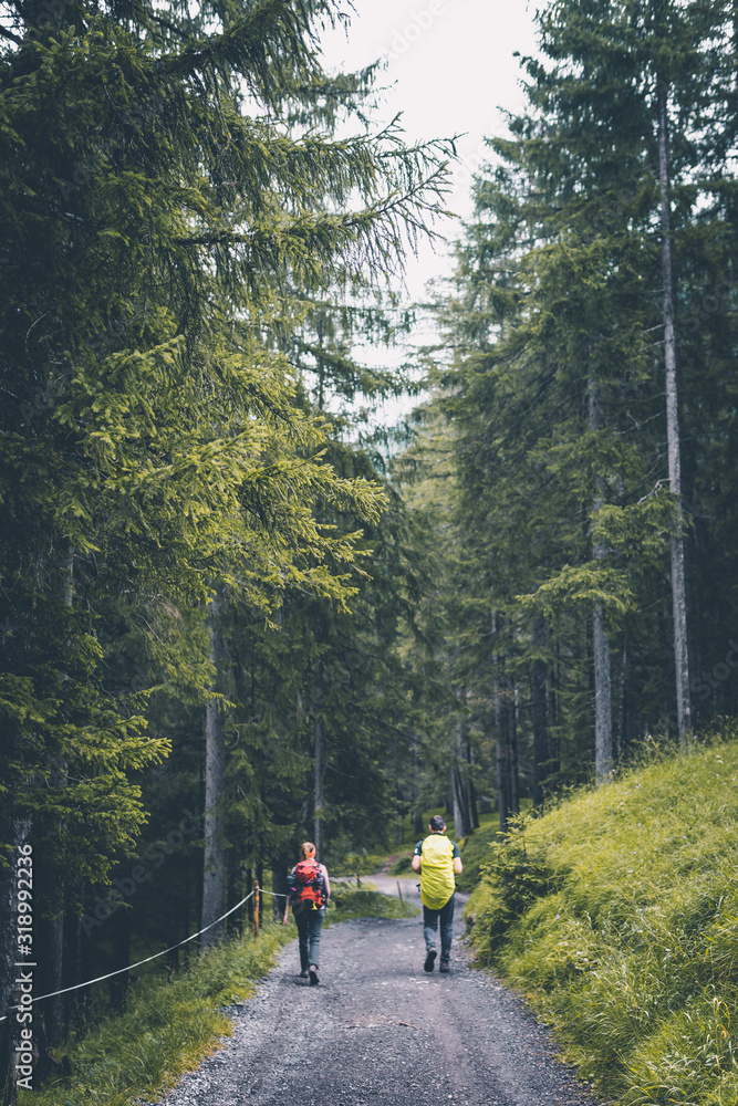 Zwei Wanderer auf einem Waldweg