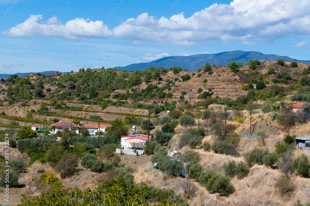 Valley with olive trees and rural houses. Cyprus