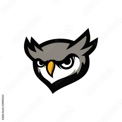 owl head mascot logo with sharp eyes vector illustration