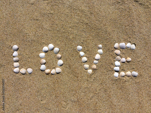 Inscription love made from shells on a beach