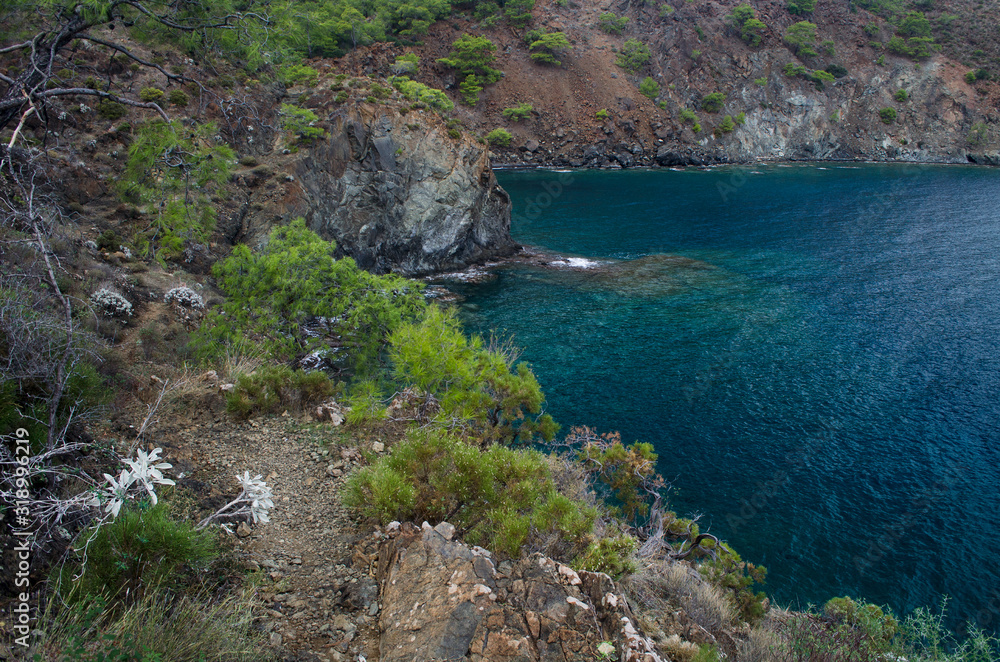 Mountain vegetation on the Mediterranean coast