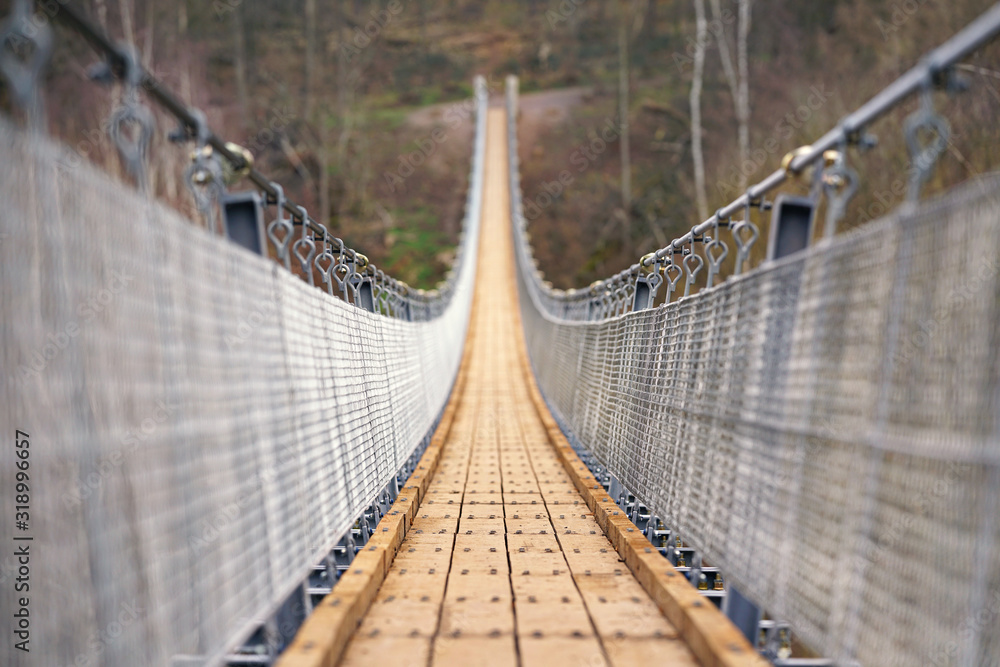 Fototapeta premium der lange Weg im Wald - Hängeseilbrücke