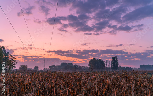 Sunrise over a crop field at countryside. Beautiful cloudy sky. High voltage cables and tower in the background.