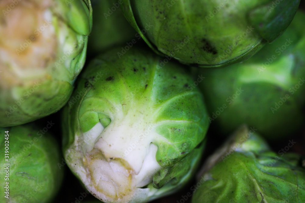 Fototapeta premium Makro close up of green raw fresh brussels sprouts (brassica oleracea)