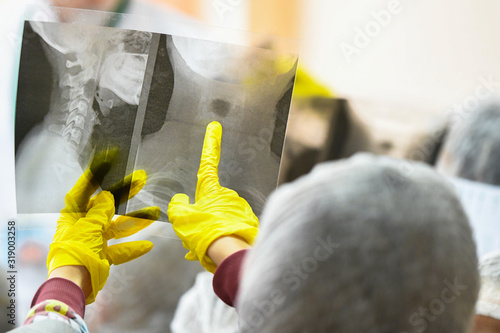 X-ray photograph in the hands. The child is holding an x-ray in his hands. A child in a medical uniform observes an x-ray of the head. Medical training photo