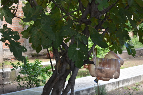 contenedores de plastico atados a arbol