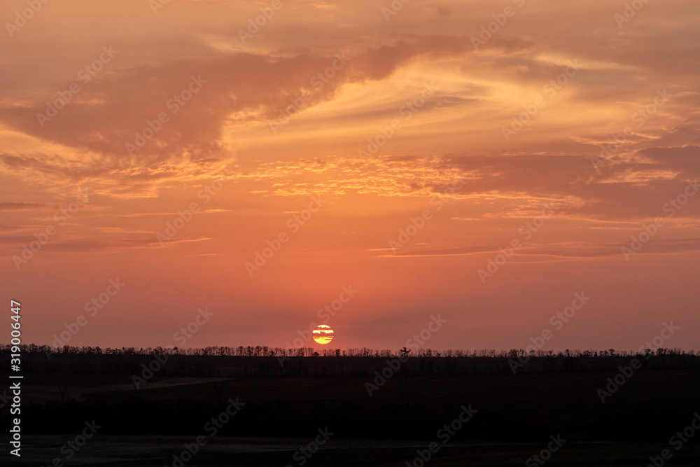 Orange-red sunset and landscape with raw of trees. Sun is cut across by clouds