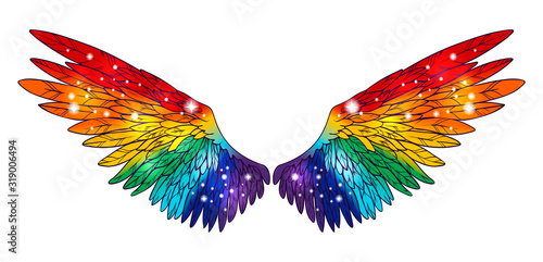 Beautiful magic rainbow colorful glittery shining wings, hand drawn vector