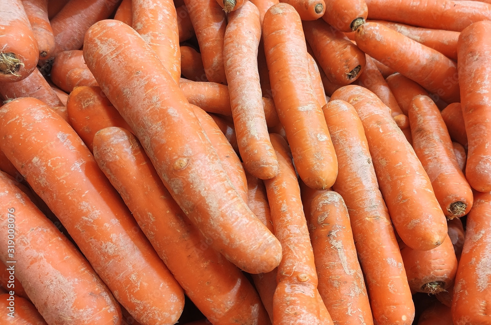 A collection of fresh orange carrots that is ready to eat as vegetables and contains many vitamins. Vegetable background