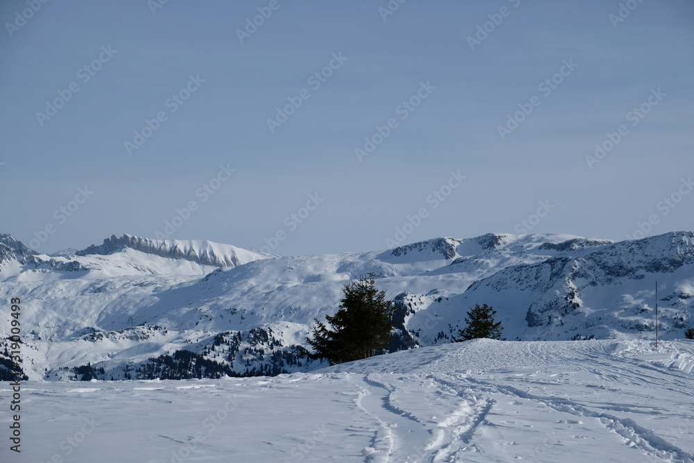 Paysage hivernal