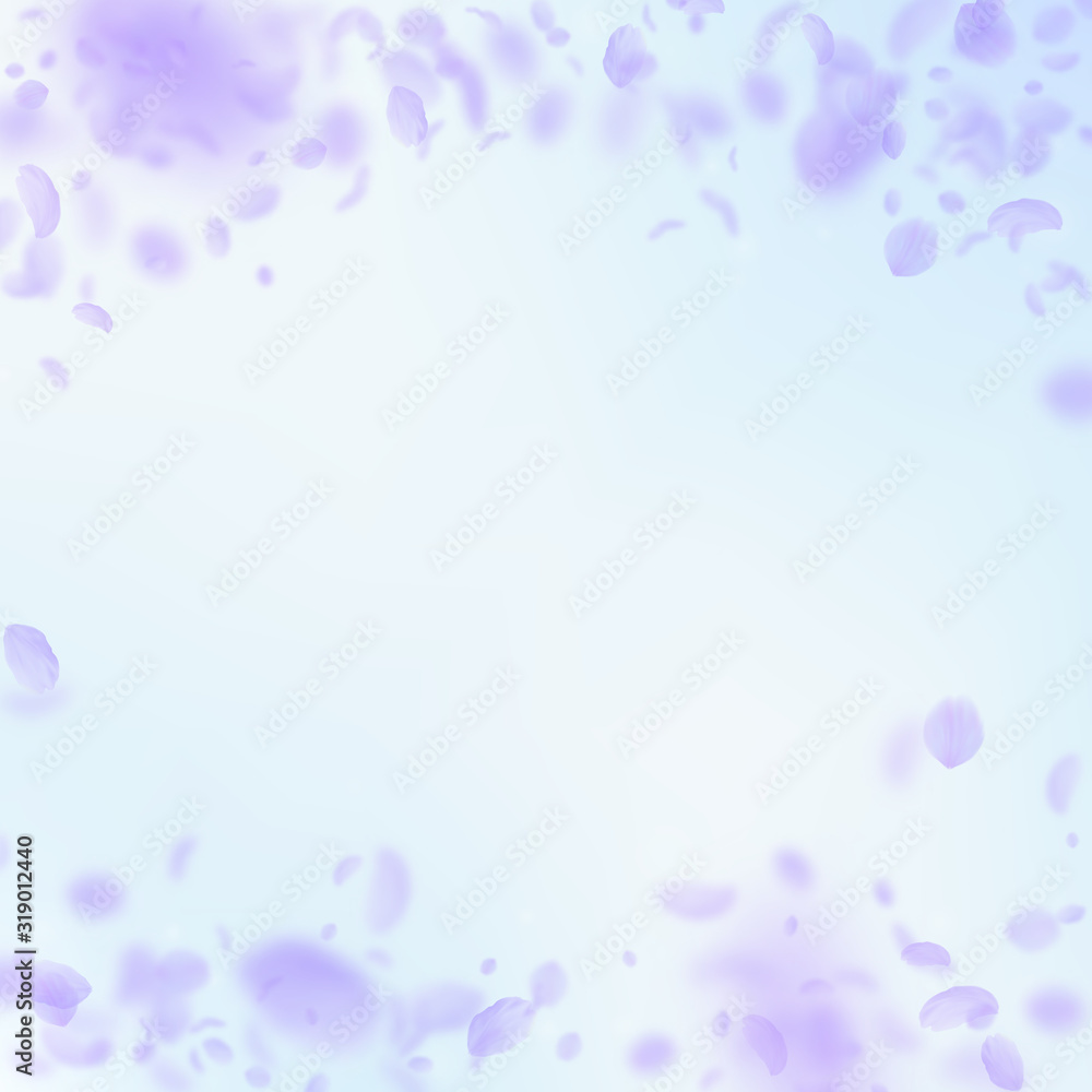Violet flower petals falling down. Powerful romant Violet flower petals falling down. Powerful romant