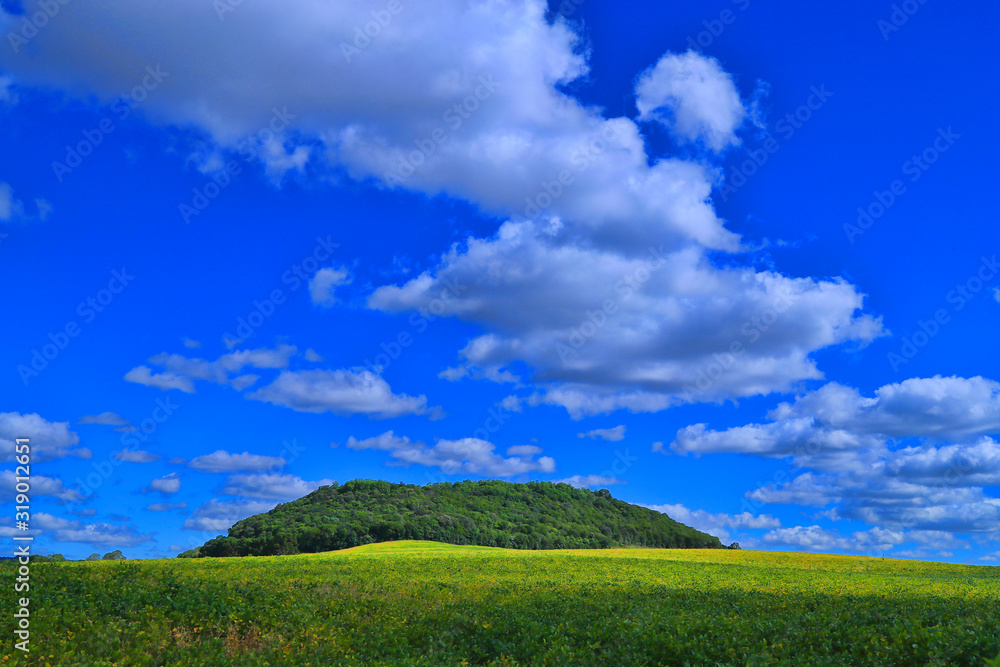 green field and blue sky / SANANDUVA RIO GRANDE DO SUL green field and blue sky / SANANDUVA RIO GRANDE DO SUL