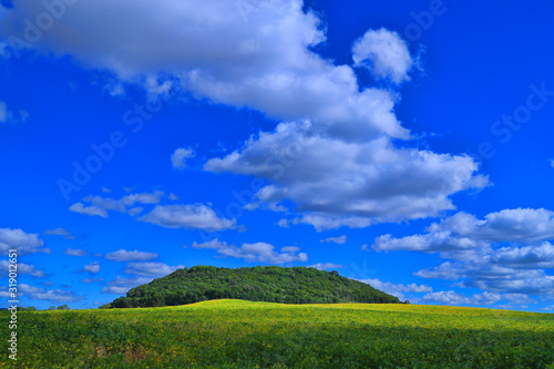 green field and blue sky / SANANDUVA RIO GRANDE DO SUL