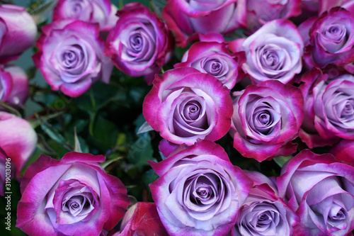 bouquet of purple natural roses