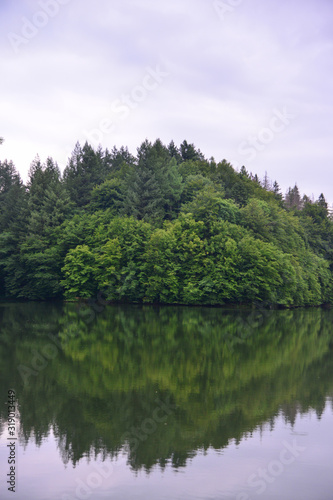 Forest reflection in the lake