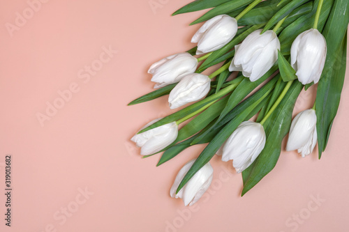 White tulips lie on pink background. Place for text  view from above