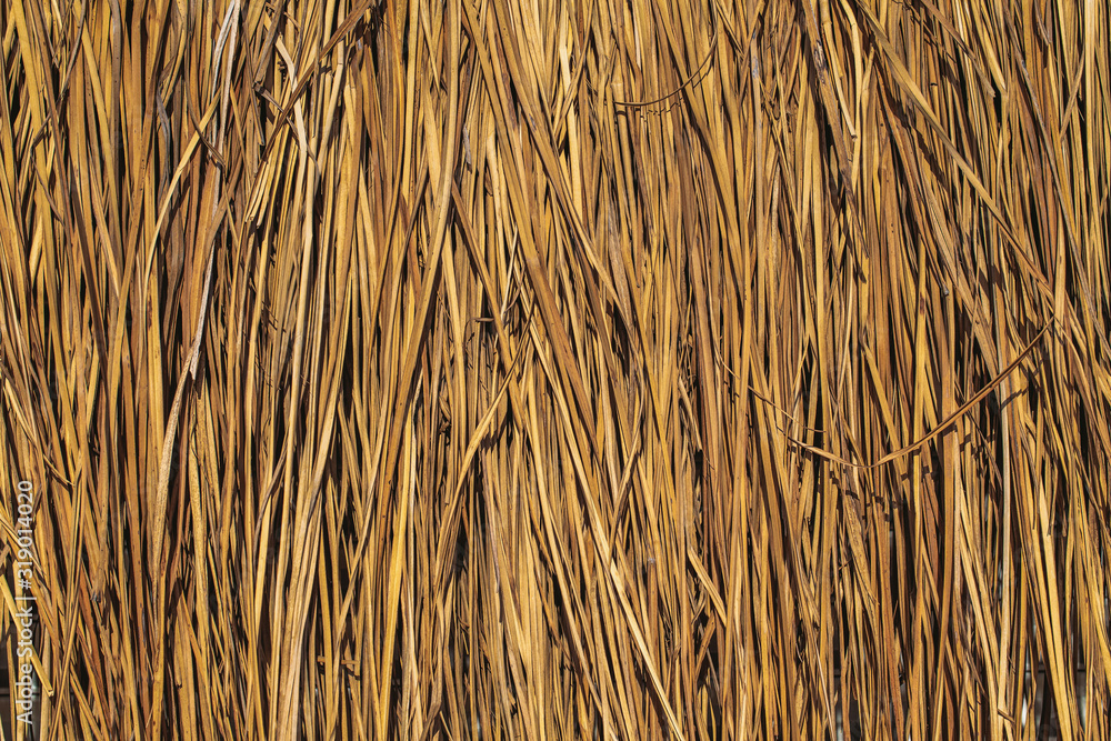 Closeup view of texture of dry organic material made of dry plants. Horizontal color flatlay abstract photo background. Closeup view of texture of dry organic material made of dry plants. Horizontal color flatlay abstract photo background.