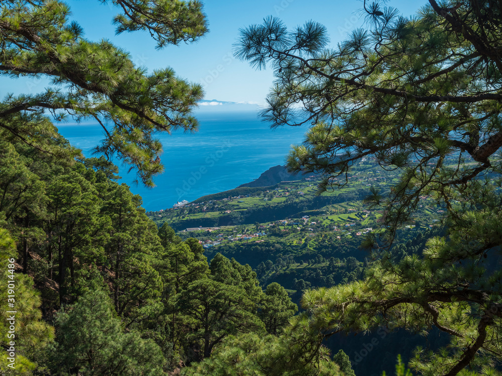 View on beautiful lush lanscape from hiking trail Barranco de la Madera with pine tree forest, villages, fields, sea and blue sky. La Palma Island, Canary Islands, Spain